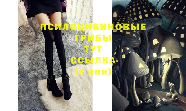 МДПВ Алзамай