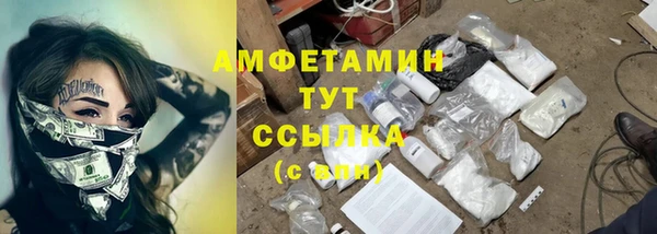 прущие грибы Алексин