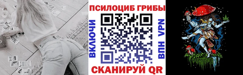 Галлюциногенные грибы мицелий  что такое   Ростов-на-Дону 
